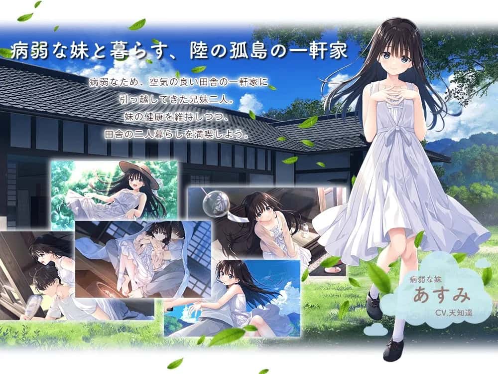 痴情哥哥与病弱妹妹的乡间生活 含新DLC1+2+3+4+5